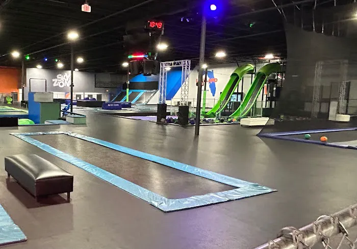 Sky Zone Trampoline Park Picture 7
