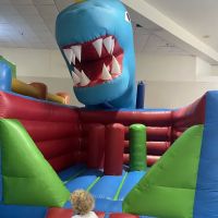 The Minions Playground Bounce House ico
