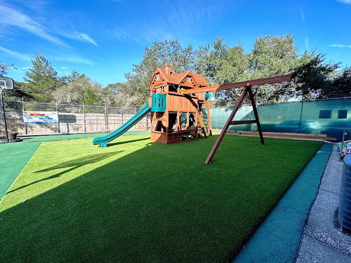 Playground King | Rainbow Play Systems Tampa Picture 7