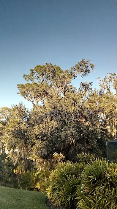 Apollo Beach Park and Recreation Center Picture 6