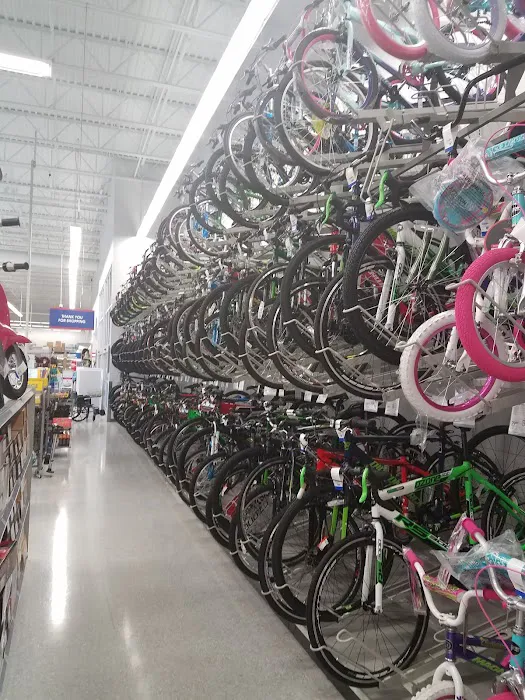 Academy Sports + Outdoors Picture 7