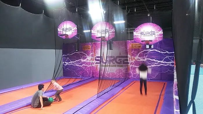 Surge Entertainment Picture 8