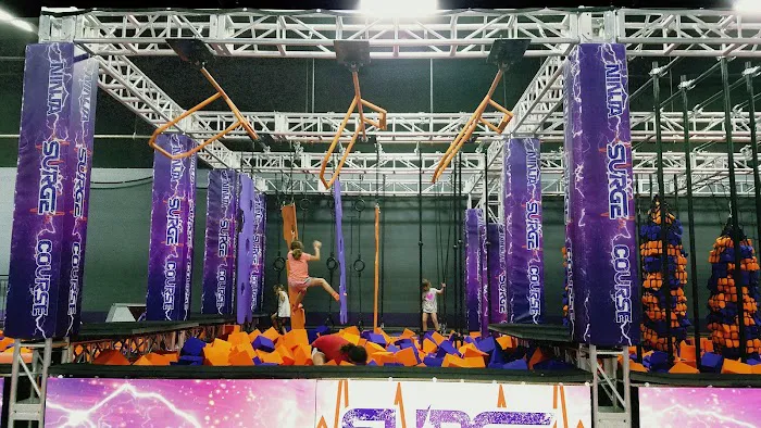 Surge Entertainment Picture 7
