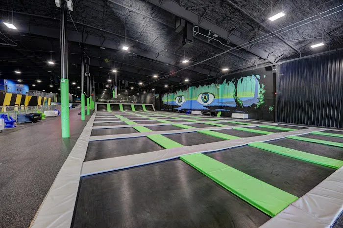 Sky Zone Trampoline Park Picture 1
