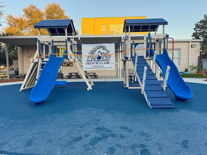 Ultimate Outdoor Play Picture 8