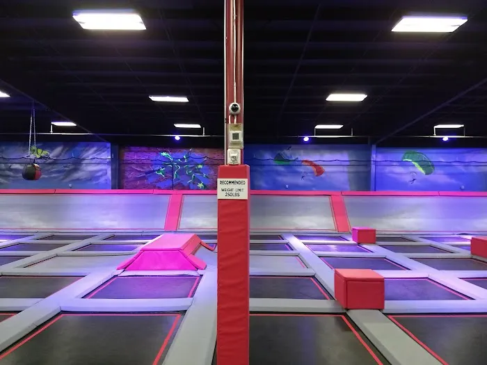 Airborne Extreme Trampoline Park Picture 4