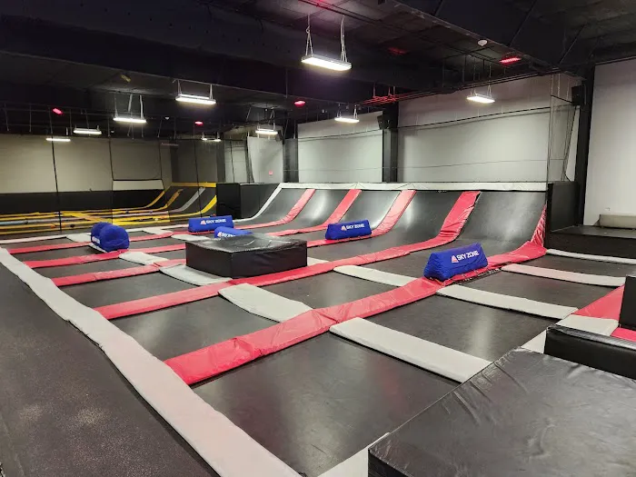 Sky Zone Trampoline Park Picture 1