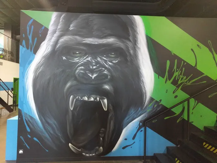 Sky Zone Trampoline Park Picture 4