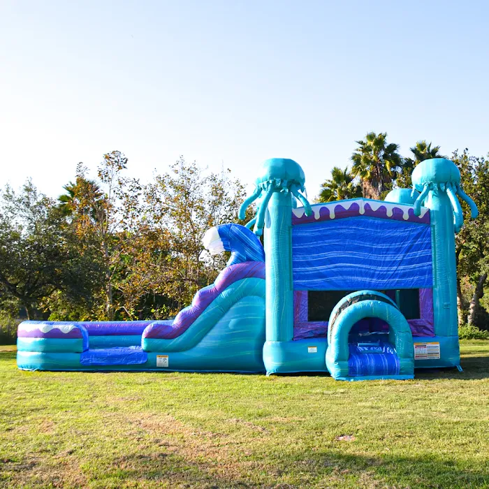Central Arkansas Inflatables Picture 7