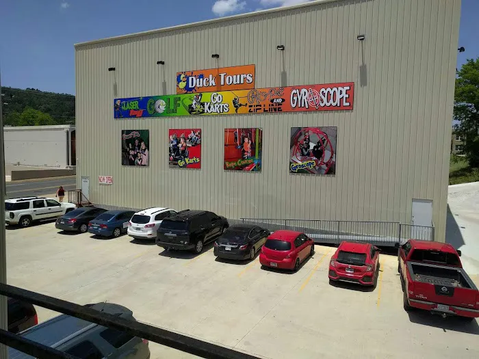 Trex Fun Spot Ropes/ZipLine/Gyroscope Picture 8