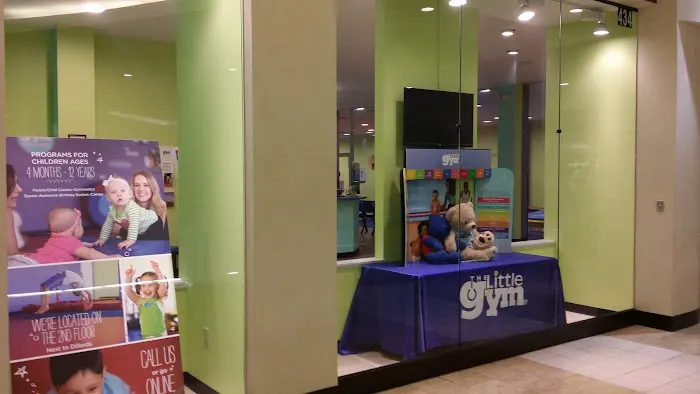 The Little Gym of South County Picture 2
