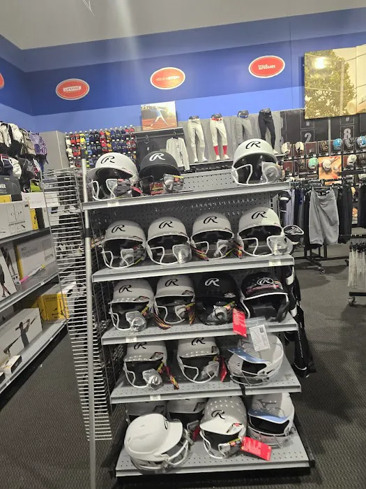 DICK'S Sporting Goods Picture 6