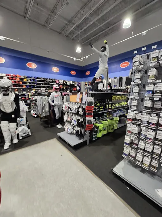 DICK'S Sporting Goods Picture 3