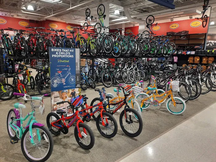 DICK'S Sporting Goods Picture 7