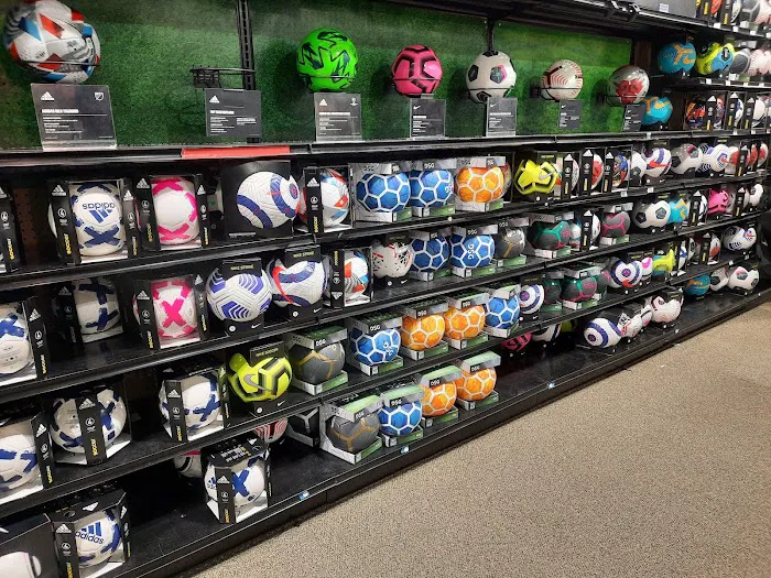 DICK'S Sporting Goods Picture 8
