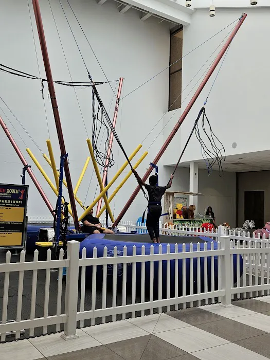 Bungee Zone Picture 1