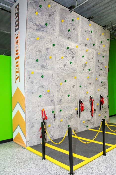 Sky Zone Trampoline Park Picture 10