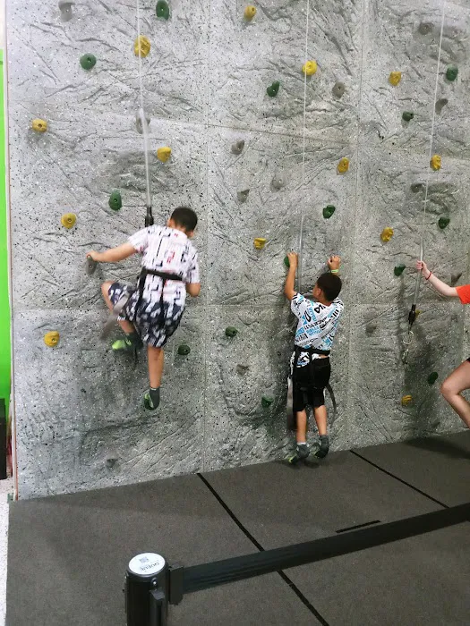 Sky Zone Trampoline Park Picture 5
