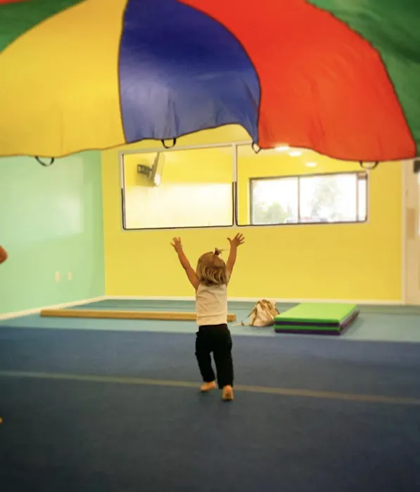 Tumble Zone Llc Picture 7