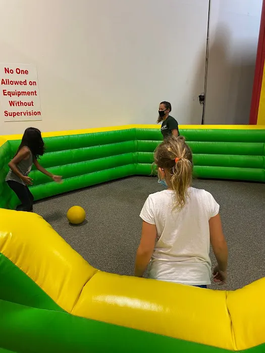 The Jumping Jungle Picture 6