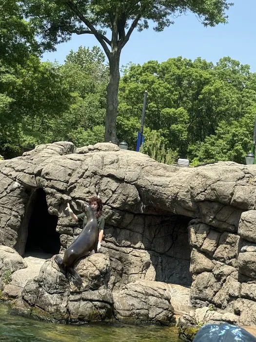 Brooklyn Zoo NY Picture 6