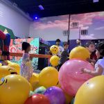 Max Adventures Kids Birthday Party Place