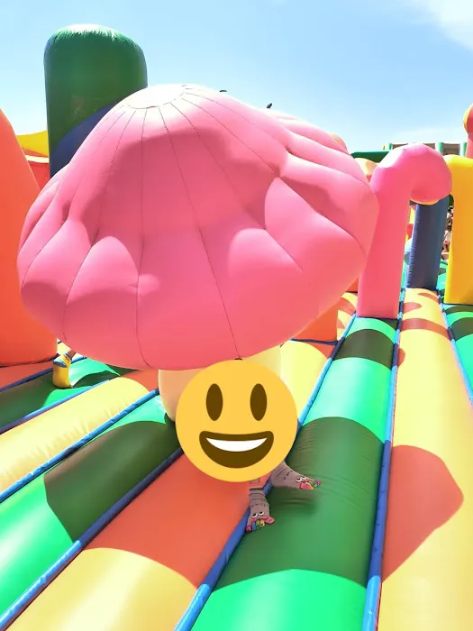 FUNBOX FREEHOLD Picture 7