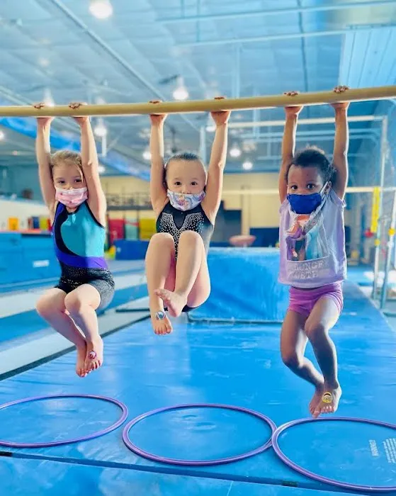Head Over Heels Gymnastics, Dance & Ninja Center Picture 7