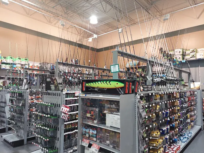 DICK'S Sporting Goods Picture 3