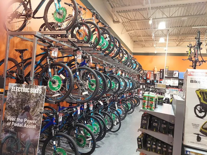 DICK'S Sporting Goods Picture 8