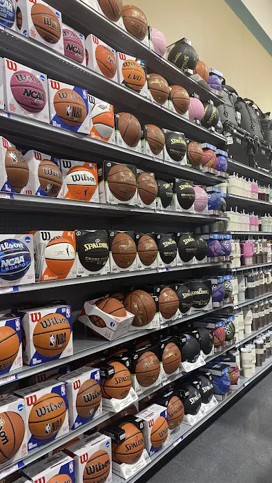 DICK'S Sporting Goods Picture 10