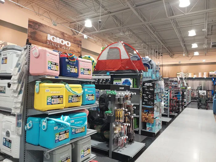DICK'S Sporting Goods Picture 5
