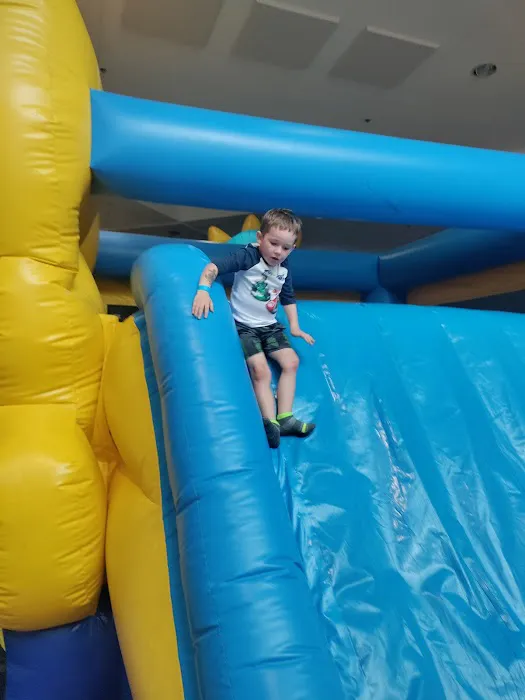 The Dinosaur Playground Bounce House Picture 1