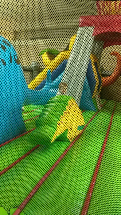 The Dinosaur Playground Bounce House Picture 5