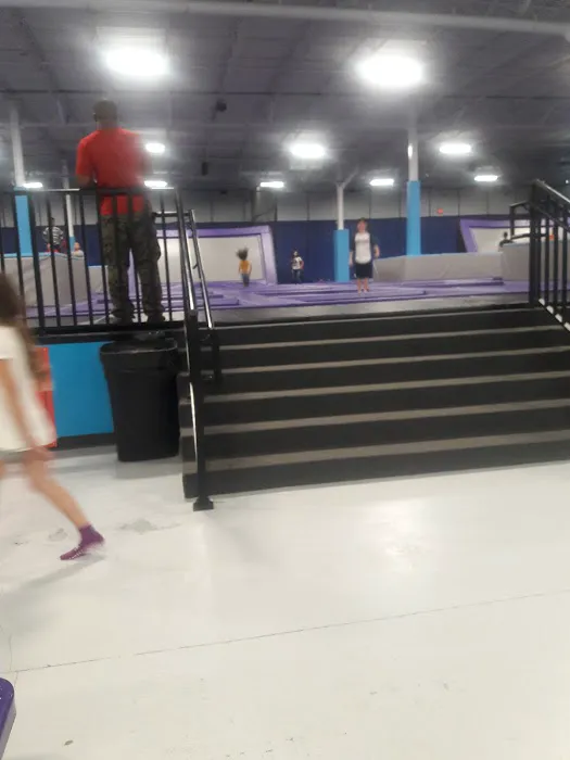Hillsborough Galleria Picture 3
