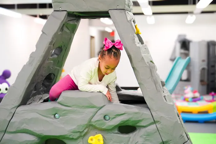 Bunnie Bounce Grove Picture 4