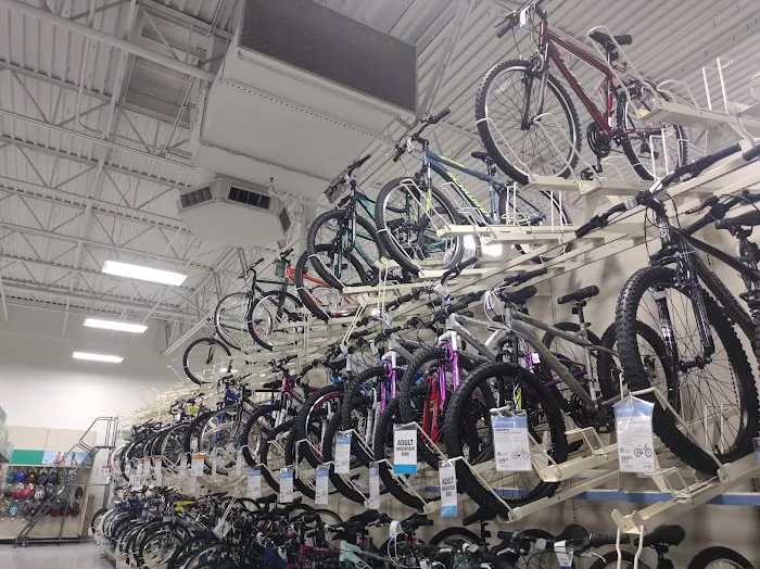 Academy Sports + Outdoors Picture 10