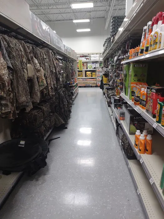 Academy Sports + Outdoors Picture 9