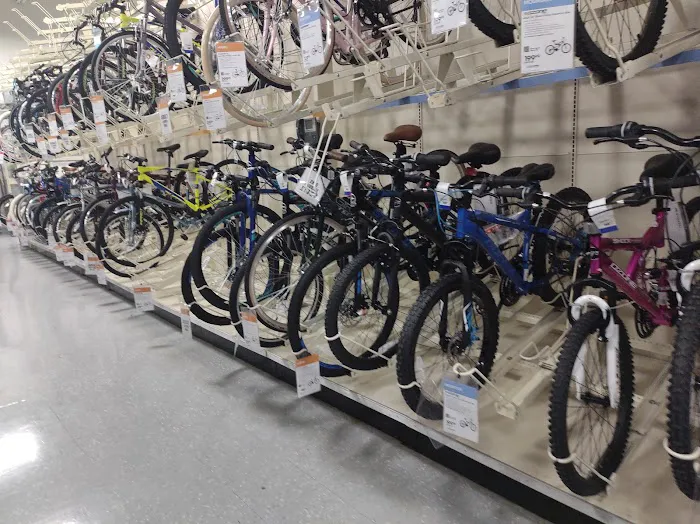 Academy Sports + Outdoors Picture 8