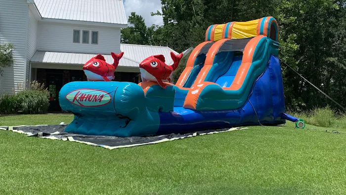 Spacejumpers Water slides Picture 10