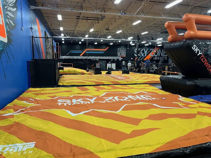 Sky Zone Trampoline Park Picture 3