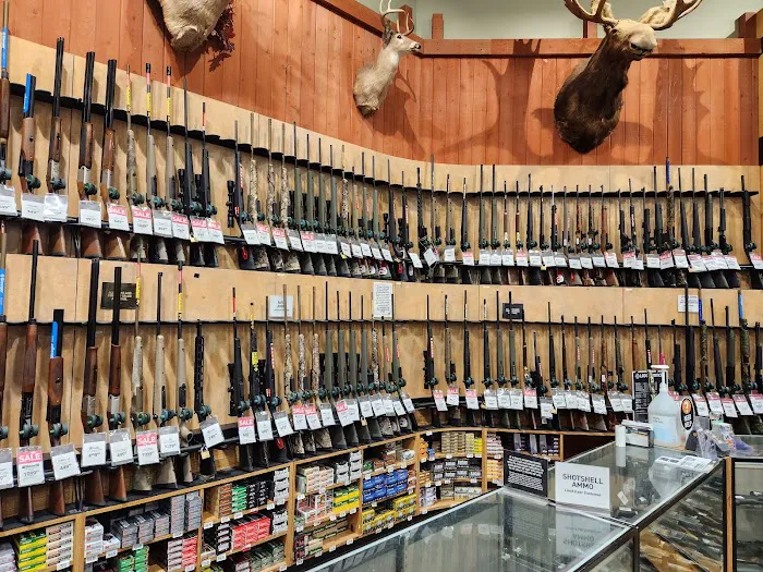 DICK'S Sporting Goods Picture 10