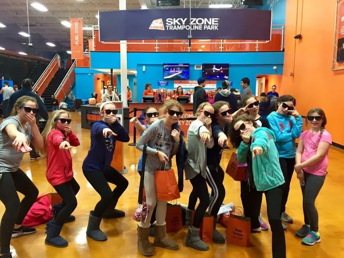 Sky Zone Trampoline Park Picture 4