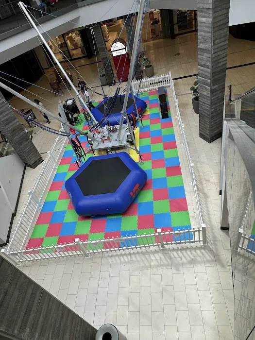 Jump Zone Bungee Trampoline Picture 4