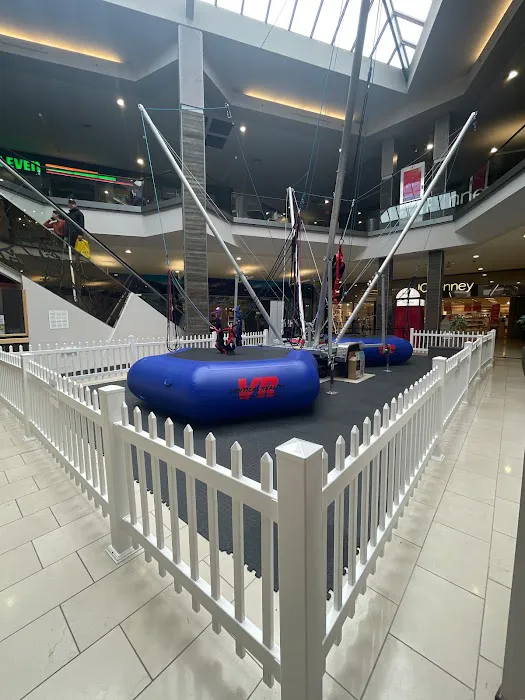 Jump Zone Bungee Trampoline Picture 1