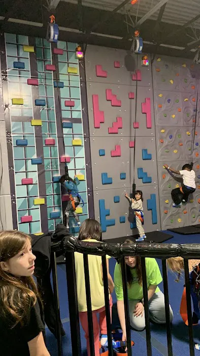 Urban Air Trampoline and Adventure Park Picture 2