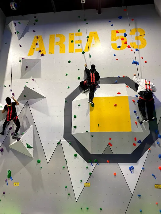 Area 53 - Adventure Park Picture 8