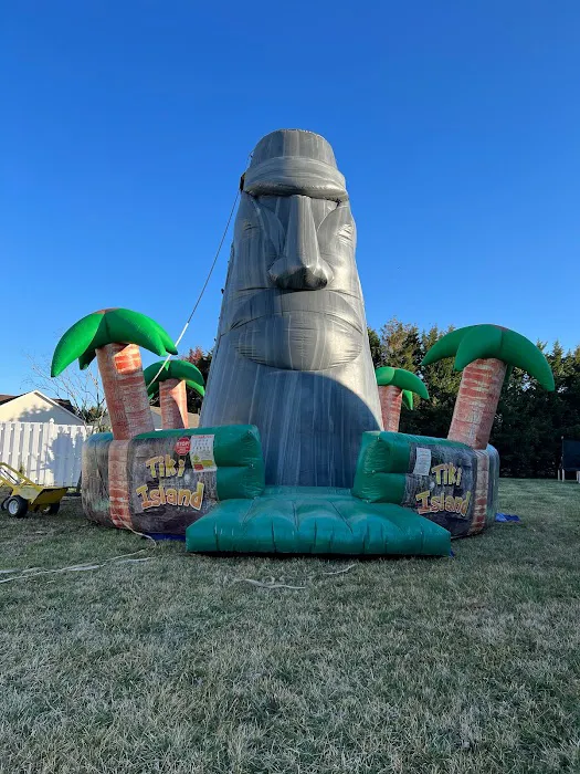 All Blown Up Inflatables Picture 6