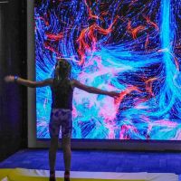 Empire Adventure Park ico