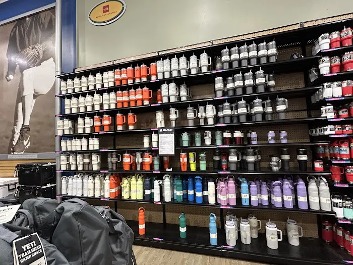 DICK'S Sporting Goods Picture 4